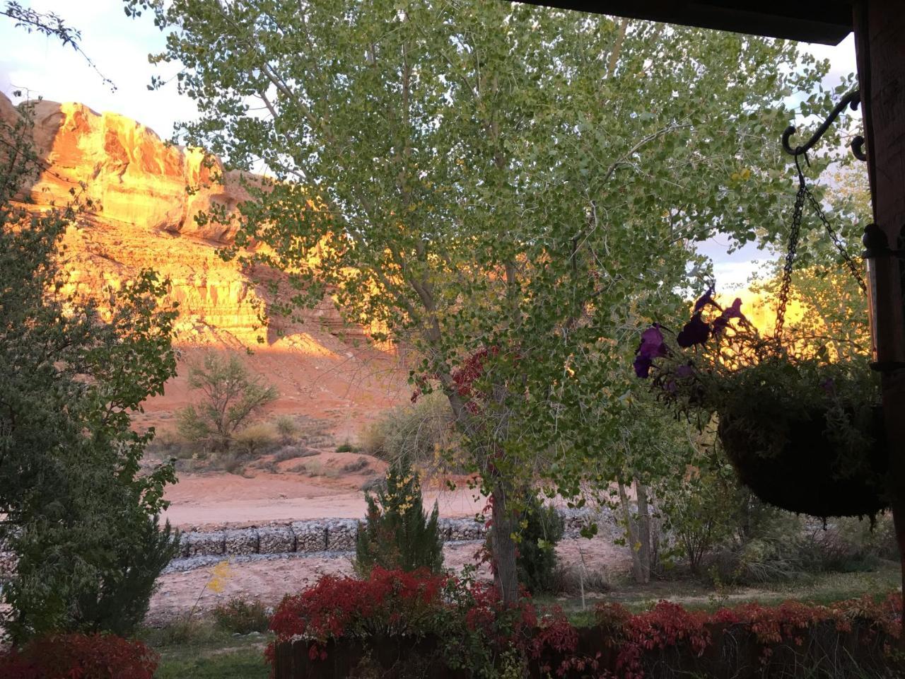 Canyon Wren Bed And Breakfast Блаф Екстериор снимка