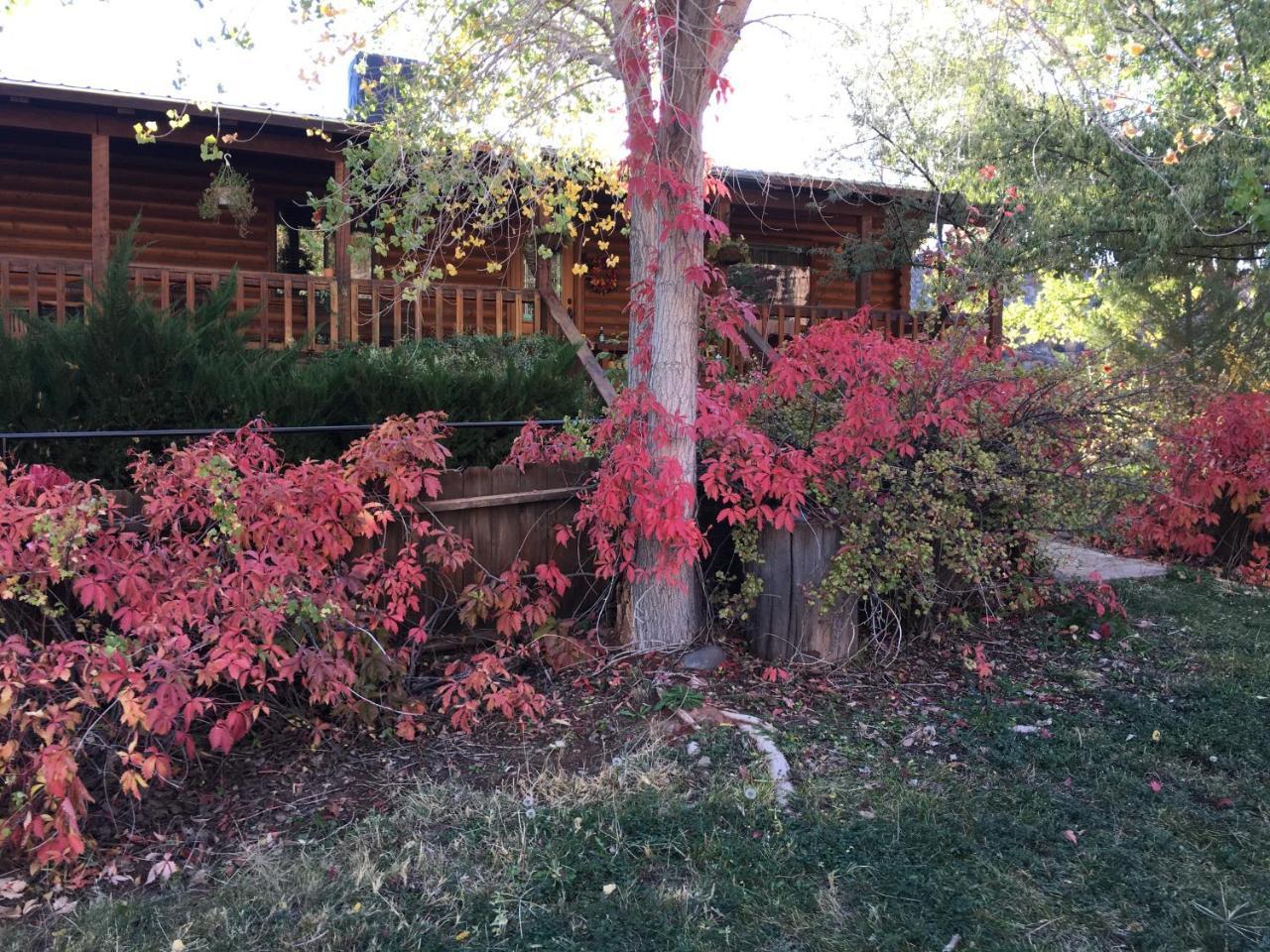 Canyon Wren Bed And Breakfast Блаф Екстериор снимка