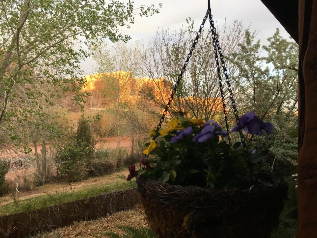 Canyon Wren Bed And Breakfast Блаф Екстериор снимка